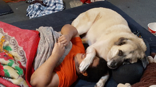 Added to the family, in addition to Sarah, was Juno, our tiny little doggie. Here's a picture of our dog and her boy.